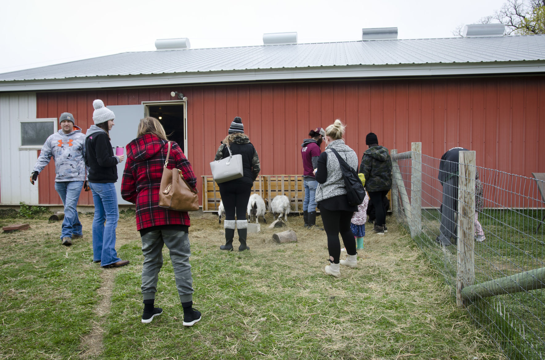 Fun on the farm attendees